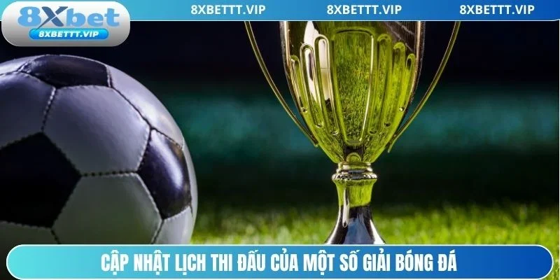 Thông tin về lịch thi đấu của các giải bóng đá tại nhà cái