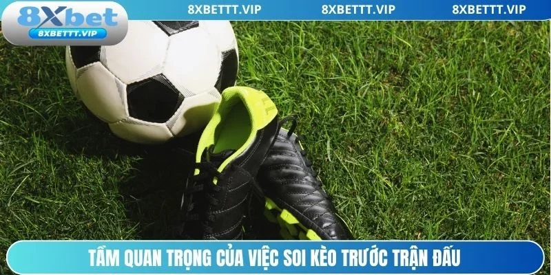 Soi kèo bóng đá tối nay giúp bạn xuống cược thông minh